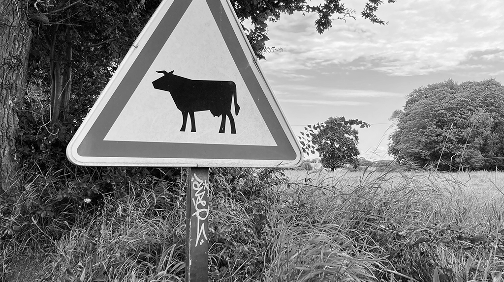 Verkehrszeichen mit einer Kuh. Im Hintergrund, Wiese und Wald